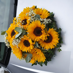 Auto Dekoration mit Sonnenblumen (abgeholt im Blumenladen am 17. September 2022)