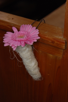 Einfacher Bankschmuck mit Rosa Germini in Reagenzglas