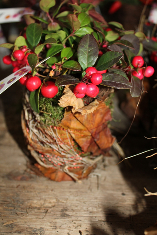 Natürliches Herbstgefäss selber gemacht