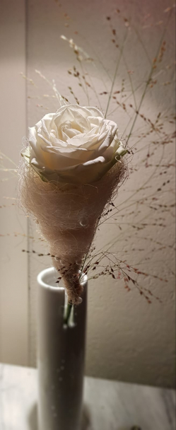 Rose verpakt weiss in Linck Keramik Vase