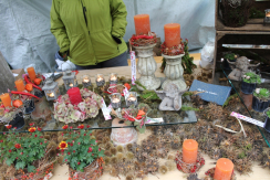 Impressionen von meinem Stand am Herbstmärit