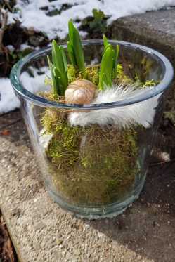 NarzISSEN-kUGEL-IN-gLAS.png