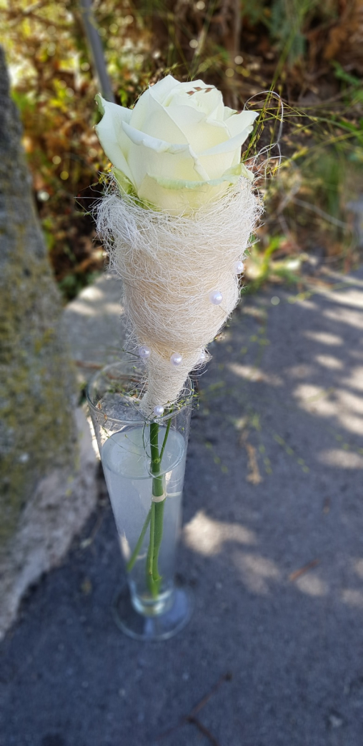 Die Vase sollte den Rosenstiel bis rund zur Hälfte im Wasser stehen lassen