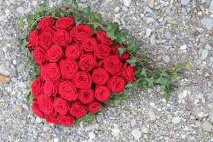 Rosenherz rot mit Red Naomii Rosen