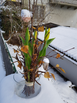 Tulpenstehstrauzss-gelbe-Tulpen-Fruehling20.jpg